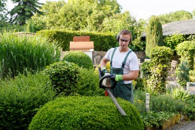 Control the Size and Shape of the Shrubs!
