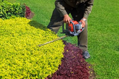 Improve Aesthetics with Shrub Trimming!