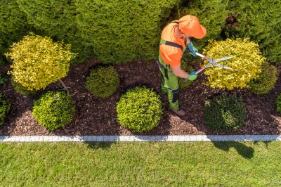 Prevent Overgrowth and Hazards with Shrub Trimming!