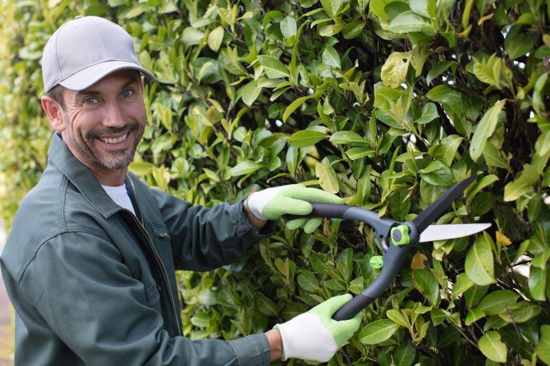 Cost of Shrub Trimming — Cost of Shrub Trimming