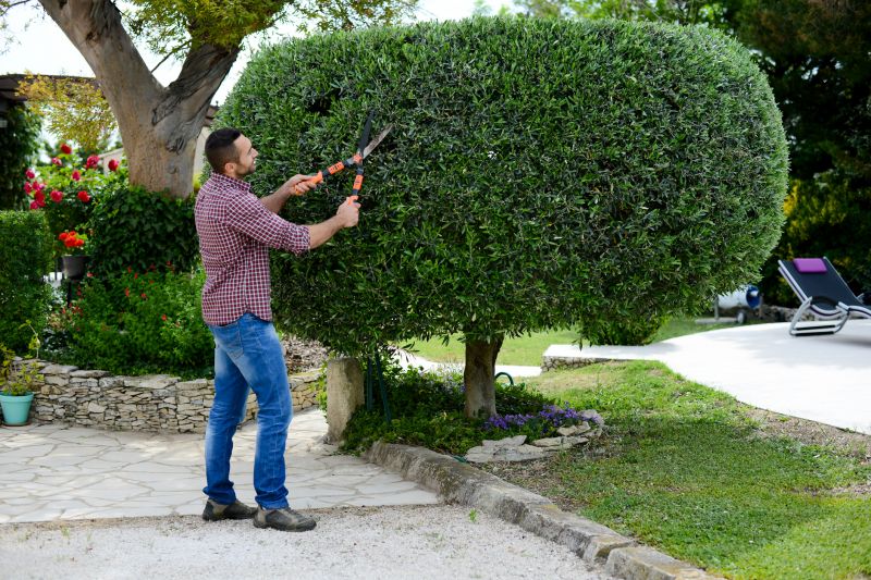 Cost of Shrub Trimming — Cost of Shrub Trimming